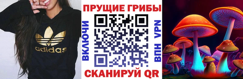 Купить где  Мариинск  Псилоцибиновые грибы прущие грибы 